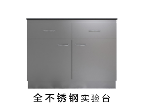 全不銹鋼實(shí)驗(yàn)臺