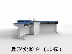 異形實驗臺（非標）